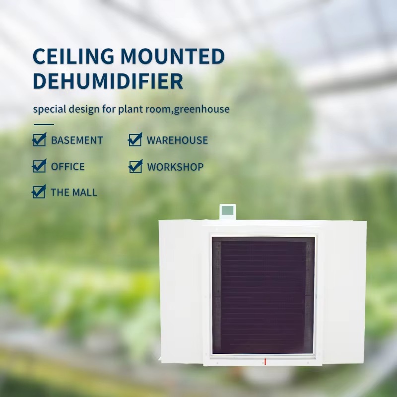 Large 480L Air Dehumidifier fo - Air Compressor recensie en prijs